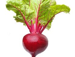 groenten voor pancreatitis