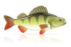 zeevruchten voor pancreaitis